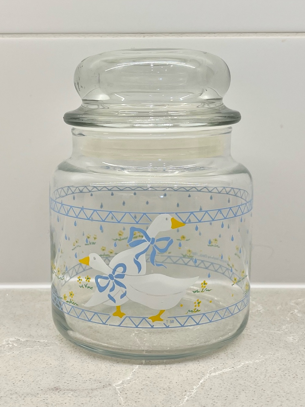 Vintage Anchor Hocking Glas Goose Canister